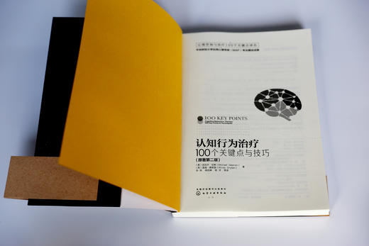 【正版精装】心理咨询与治疗实战派经典：家庭、完形、认知、焦点、交互沟通分析（套装5册） 商品图2