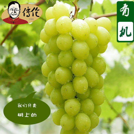 至尊超级女皇+网红阳光玫瑰8斤装—传伦精品葡萄现摘现发 商品图3