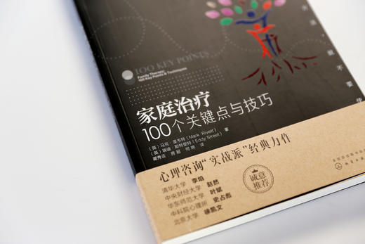 【正版精装】心理咨询与治疗实战派经典：家庭、完形、认知、焦点、交互沟通分析（套装5册） 商品图3