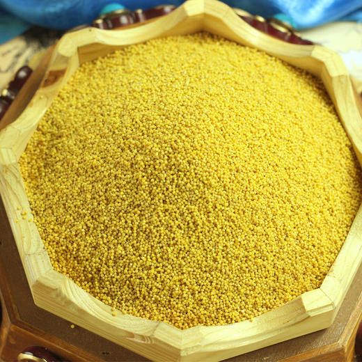 蒙清小香米400g 内蒙古有机黄小米 新米 粥米五谷杂粮