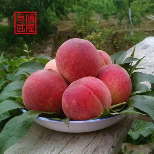 【武隆脆桃】仙女山脚下的高山脆桃 商品图4