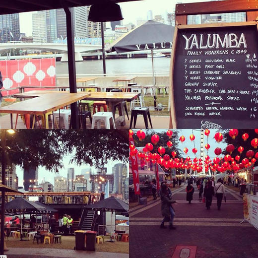 御兰堡雅系列维安尼亚白葡萄酒 Yalumba Y Series Viognier 商品图3