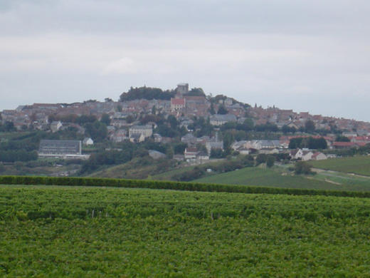 弗榭天堂园白葡萄酒  Fouassier Sancerre Clos Paradis Loire 商品图3