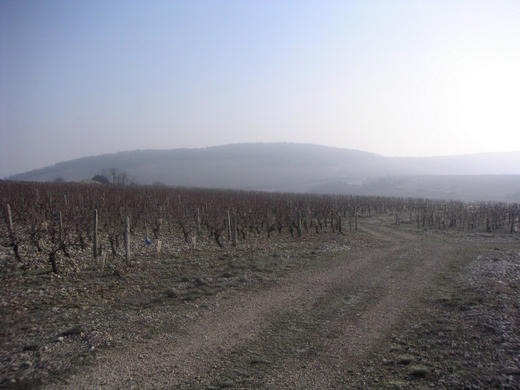 弗榭天堂园白葡萄酒  Fouassier Sancerre Clos Paradis Loire 商品图2