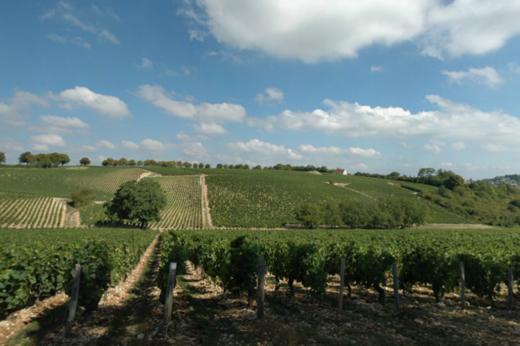 弗榭天堂园白葡萄酒  Fouassier Sancerre Clos Paradis Loire 商品图4