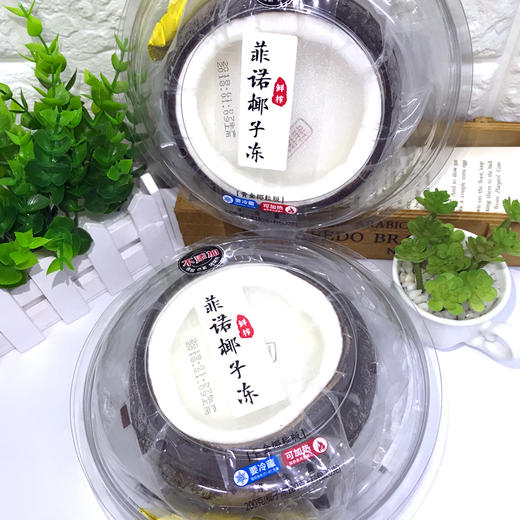 抖音网红菲诺黄金椰粒椰奶冻椰味十足无香精色素防腐剂健康无添加