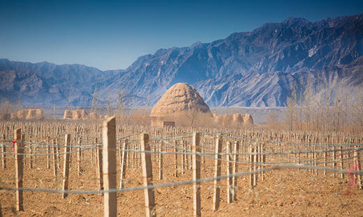 留世赤羽红葡萄酒 Legacy Peak Cabernet Sauvignon 商品图1