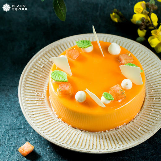 狮子座·阿波罗  LEO APOLLO 商品图1