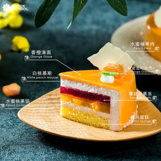 狮子座·阿波罗  LEO APOLLO 商品图3