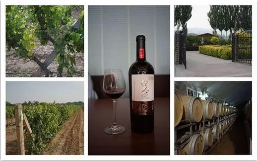 留世赤羽红葡萄酒 Legacy Peak Cabernet Sauvignon 商品图2