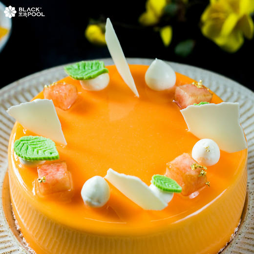 狮子座·阿波罗  LEO APOLLO 商品图2