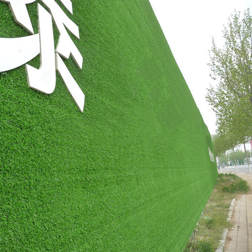 仿真绿植带胶草坪2.5米-3米 商品图5