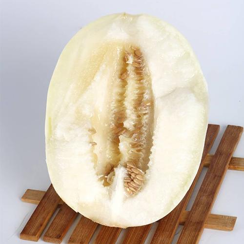 18°波斯蜜瓜|吃起来咔嚓咔嚓脆,天生甜炸了