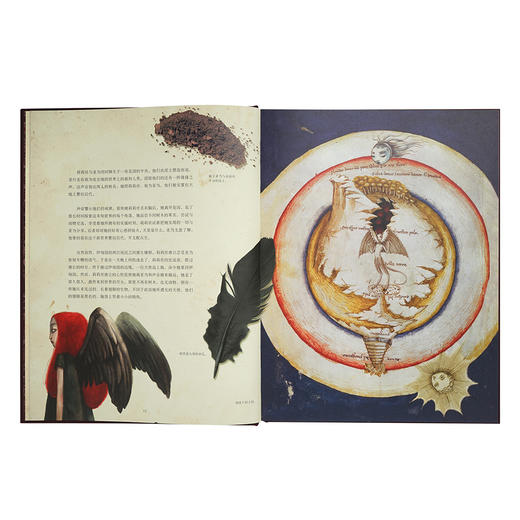 《女巫魔典》全两册，你小时候所不知道的惊人秘密，读小库12岁+ 商品图4