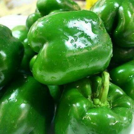 【新鲜】蔬菜 精品新薄皮辣椒 麻辣 500g/份 商品图1