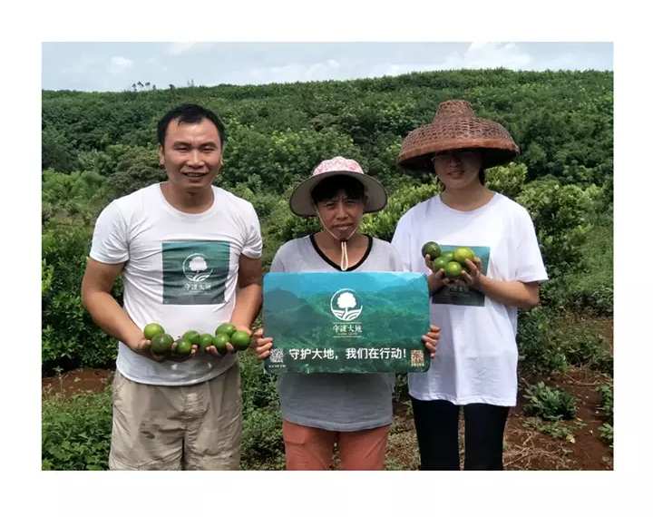 青柠檬美味之旅