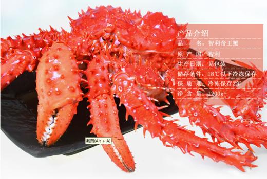 智利帝王蟹——来自南极深海野生帝王蟹  1.2-1.4kg/只 商品图3