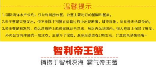 智利帝王蟹——来自南极深海野生帝王蟹  1.2-1.4kg/只 商品图6