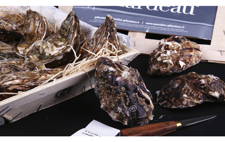 【提前预订】吉娜朵生蚝 ——法国鲜活空运(配生蚝刀,柠檬) 半打(6只)