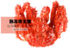 智利帝王蟹——来自南极深海野生帝王蟹  1.2-1.4kg/只 商品缩略图0