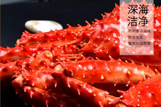 智利帝王蟹——来自南极深海野生帝王蟹  1.2-1.4kg/只 商品图2