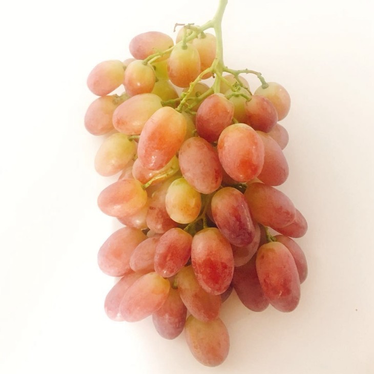 新鲜提子 马奶提子葡萄 香气浓郁 脆甜多汁 约1斤