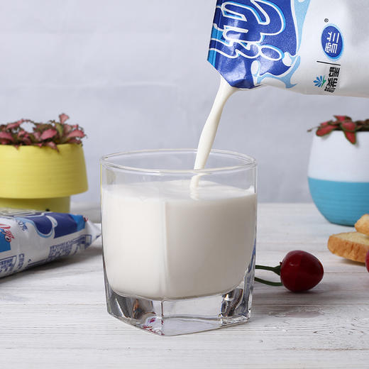 雪兰利乐小枕纯牛奶250ml*12 商品图1