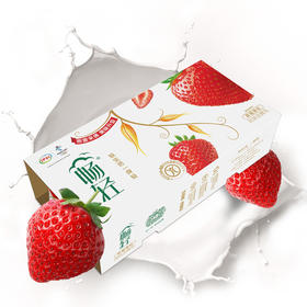 畅轻草莓、黄桃果粒酸奶100g*8杯