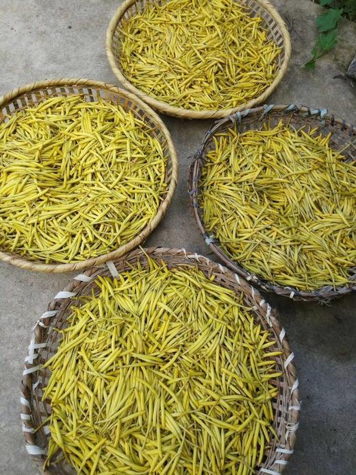 农家黄花菜(250克）任意俩件包邮 商品图4