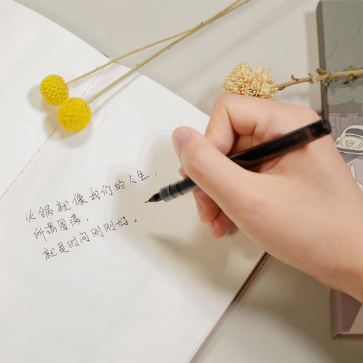 哎呀我兔笔记本 20幅经典插页漫画 八折特惠【10.1～10.7期间可下单，10.8开始发货】 商品图3