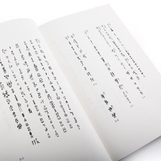 汉字的世界（上）日本著名汉学家白川静代表作之一 揭示汉字诞生的过程，展现背后的文化意义 商品图3