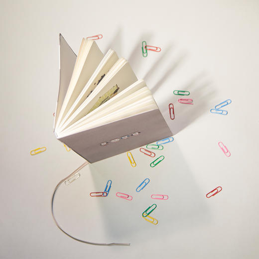 哎呀我兔笔记本 20幅经典插页漫画 八折特惠【10.1～10.7期间可下单，10.8开始发货】 商品图4