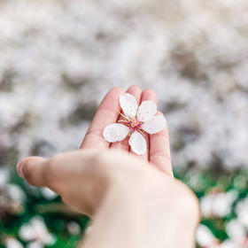 瘦瘦带运费自营商品