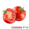 【高糖高酸】浙江新鲜大番茄 约4斤 【拍前请看温馨提示】 商品缩略图0