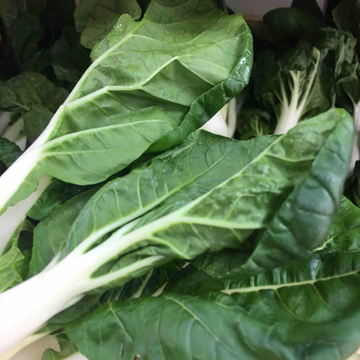 禾春元食品原生态港白份350g500g林晓晴的菜零售价7元500g