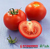 【高糖高酸】浙江新鲜大番茄 约4斤 【拍前请看温馨提示】 商品缩略图1
