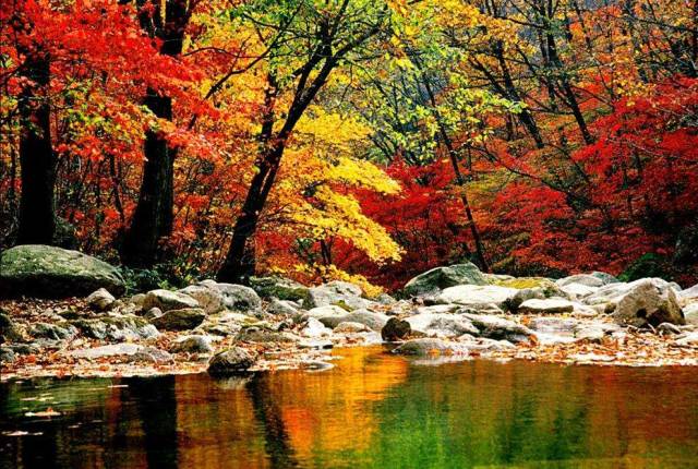 【订制团】辽宁本溪红叶、科尔沁五角枫、盘锦红海滩、沈阳故宫6天摄影团