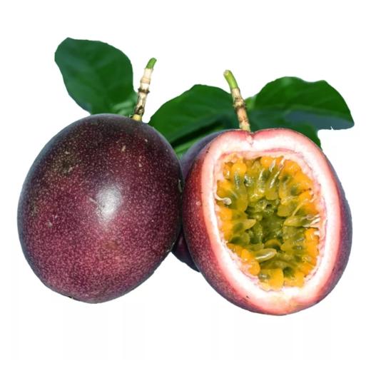 黑金刚西番莲 百香果 可直接吃 口感微甜 - 版纳天天水果