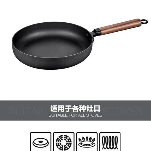 德铂 | 罗贝尔（煎锅） DEP-563 商品图1