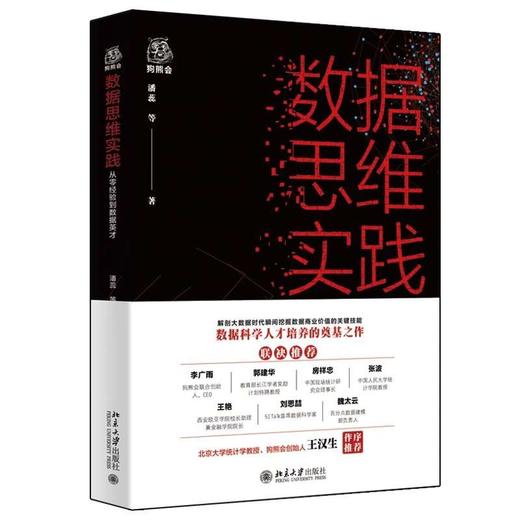 《数据思维实践 从零经验到数据英才》 商品图0