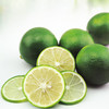 青柠檬（500g） 商品缩略图2