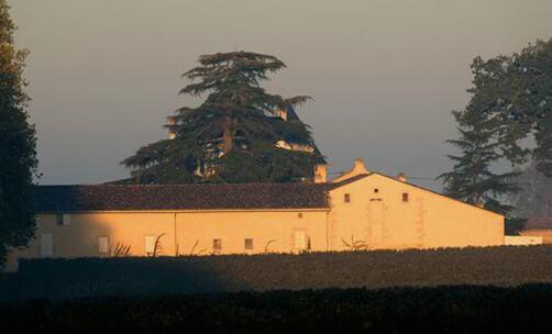 芝路庄园G干白葡萄酒2016Le G De Chateau Guiraud 商品图1