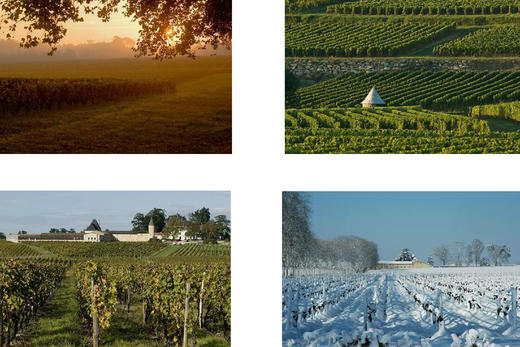 芝路庄园G干白葡萄酒2016Le G De Chateau Guiraud 商品图3