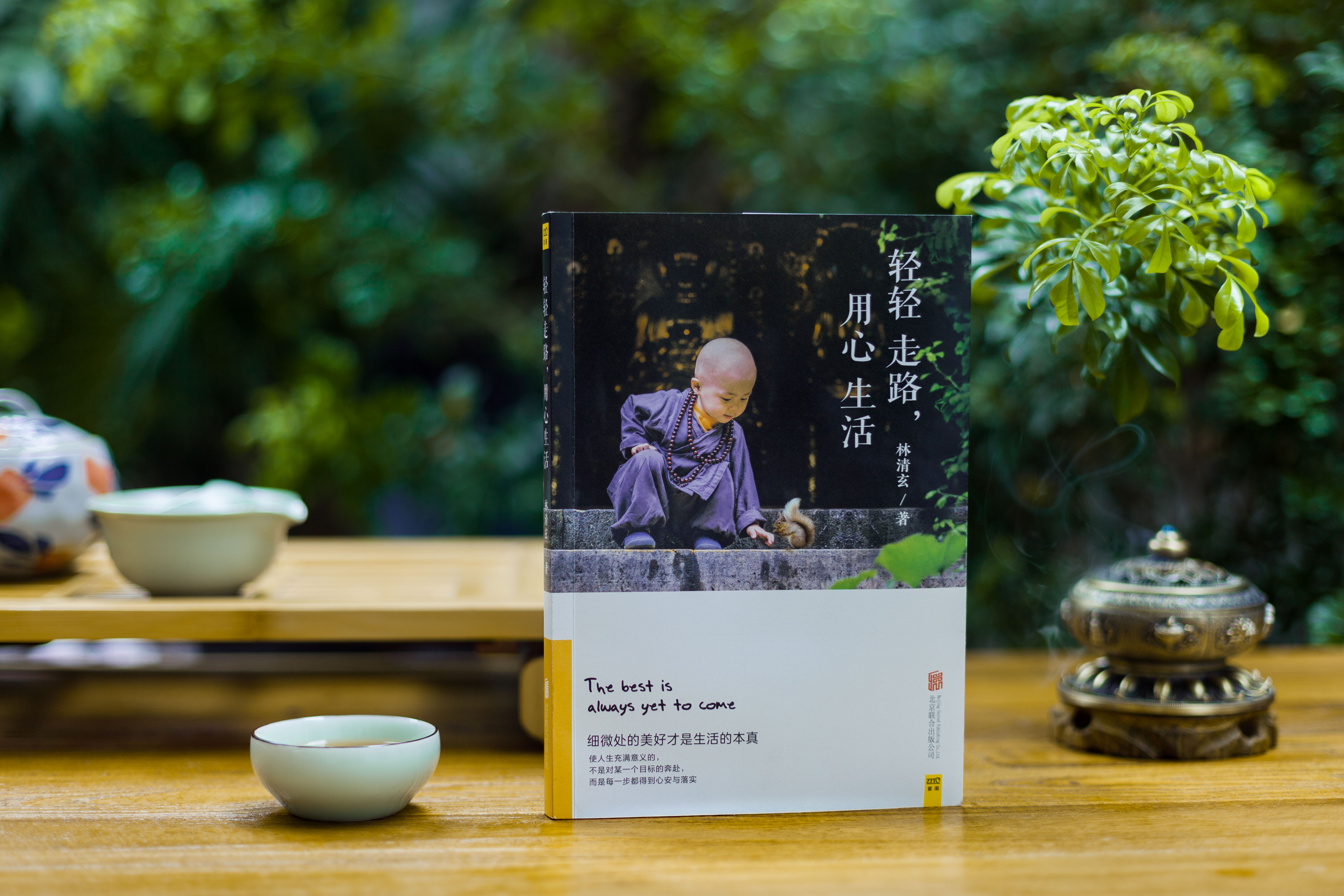 《轻轻走路，用心生活》丨华文世界心灵疗愈大家林清玄2018全新力作