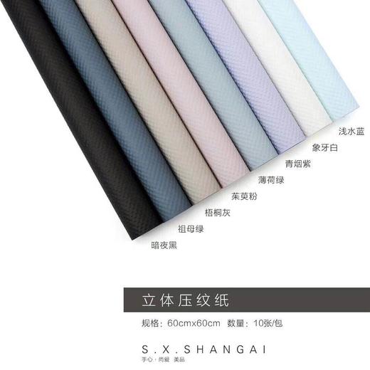立体压纹纸（10张纸质） 商品图4