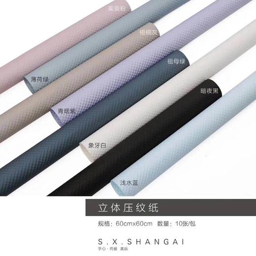 立体压纹纸（10张纸质） 商品图5