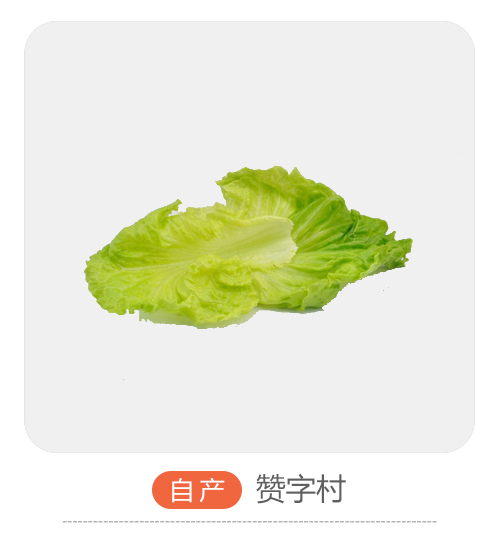自产大白菜叶