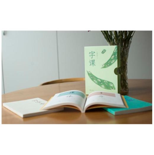 字课（全3册，据新编语文一年级教材精选的208个汉字，专为书写敏感期孩子量身打造的29堂字课） 商品图1