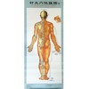 针灸穴位挂图（1-3）（附说明书） 商品缩略图2