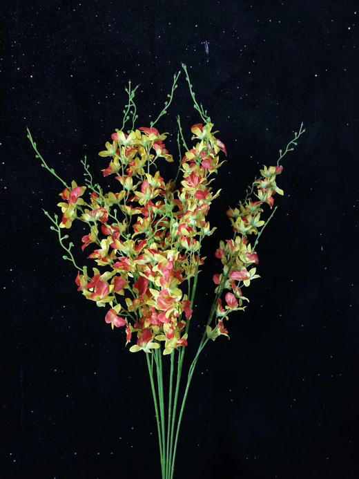 三叉玉兰花【运费自理】